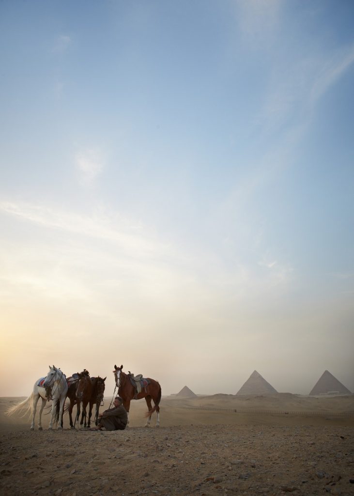 Giza pyramids,sunset, Horses from FB (Farouk Breesh) stables. Jimmie (son of Farouk Breesh) and some of their horses