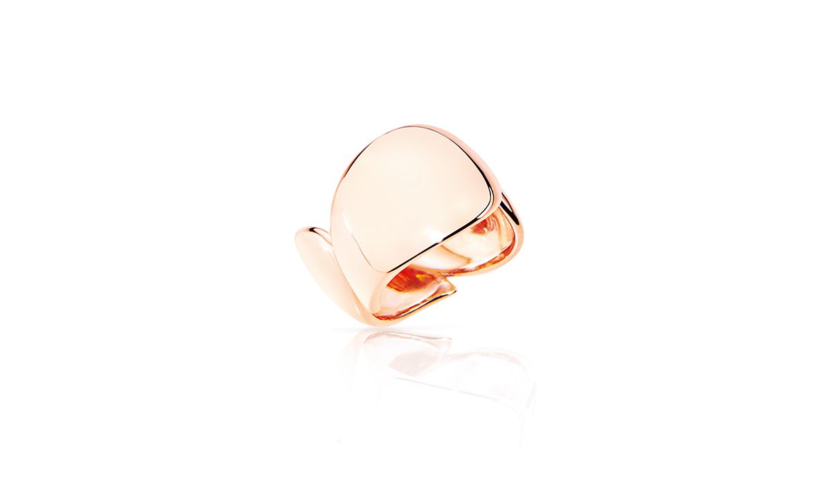 Signature Collection ring