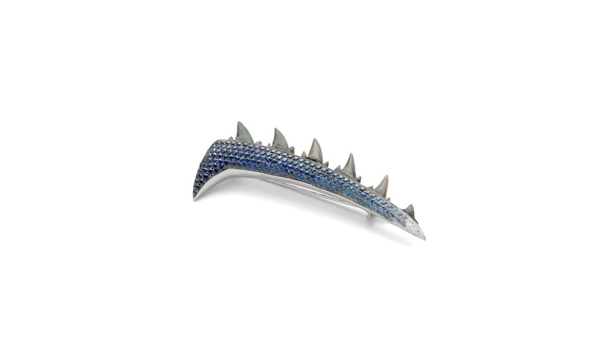 Jurassic Brooch White gold, 925 sterling silver, blue sapphires, diamonds and fossil shark teeth of Carcharoides Catticus, found in Antwerp, Belgium