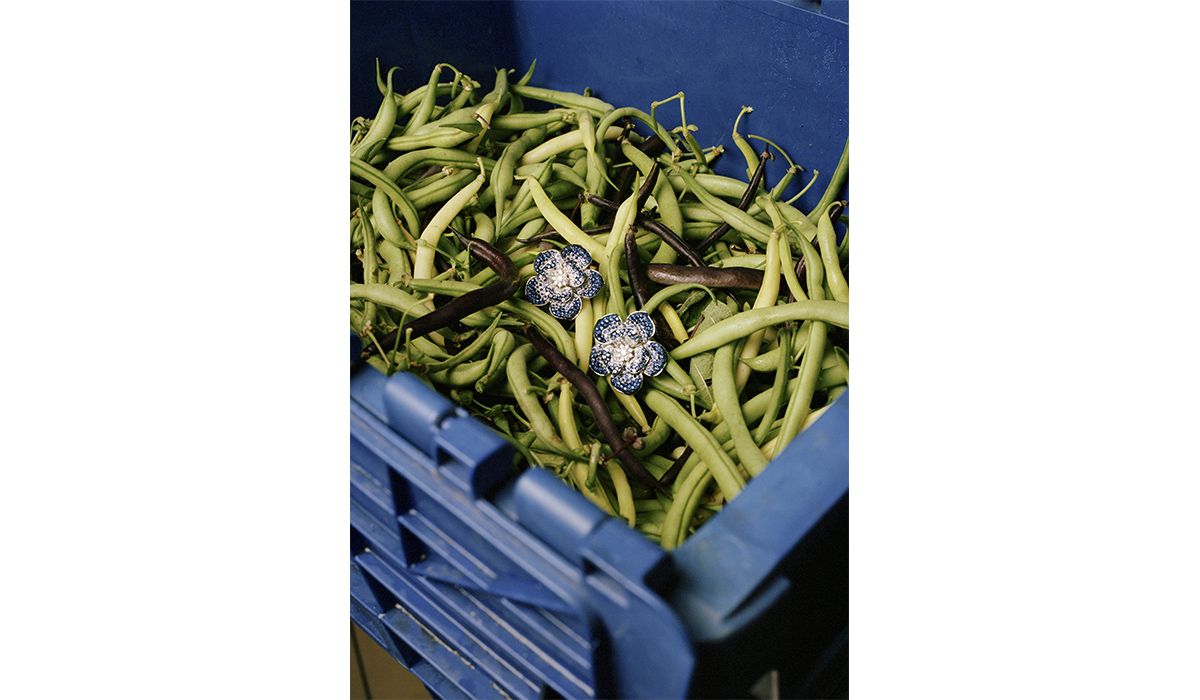 White gold earrings with diamonds and blue degradé sapphires. Leo Pizzo