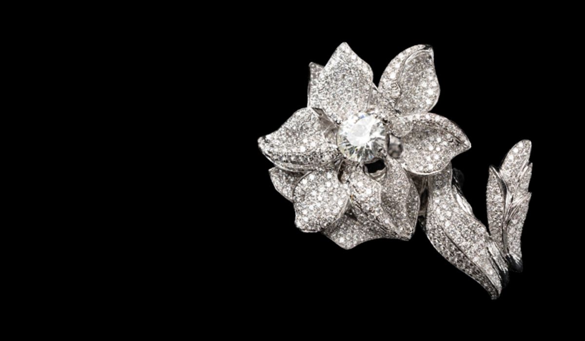 Posh collection brooch