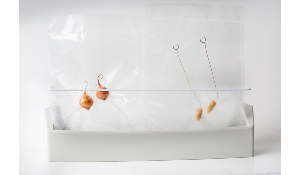 onion & cattail earrings - pic by Paula Latimori