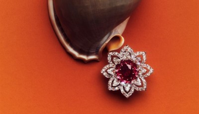 Discovering Ruby on the Set of Busatti Milano