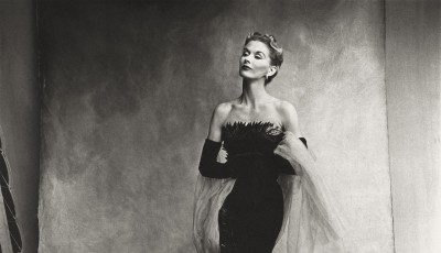 Irving Penn at the Met Museum