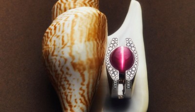 Discovering the Pink Tourmaline on the Set of Afrodis by Riccardo Vitale