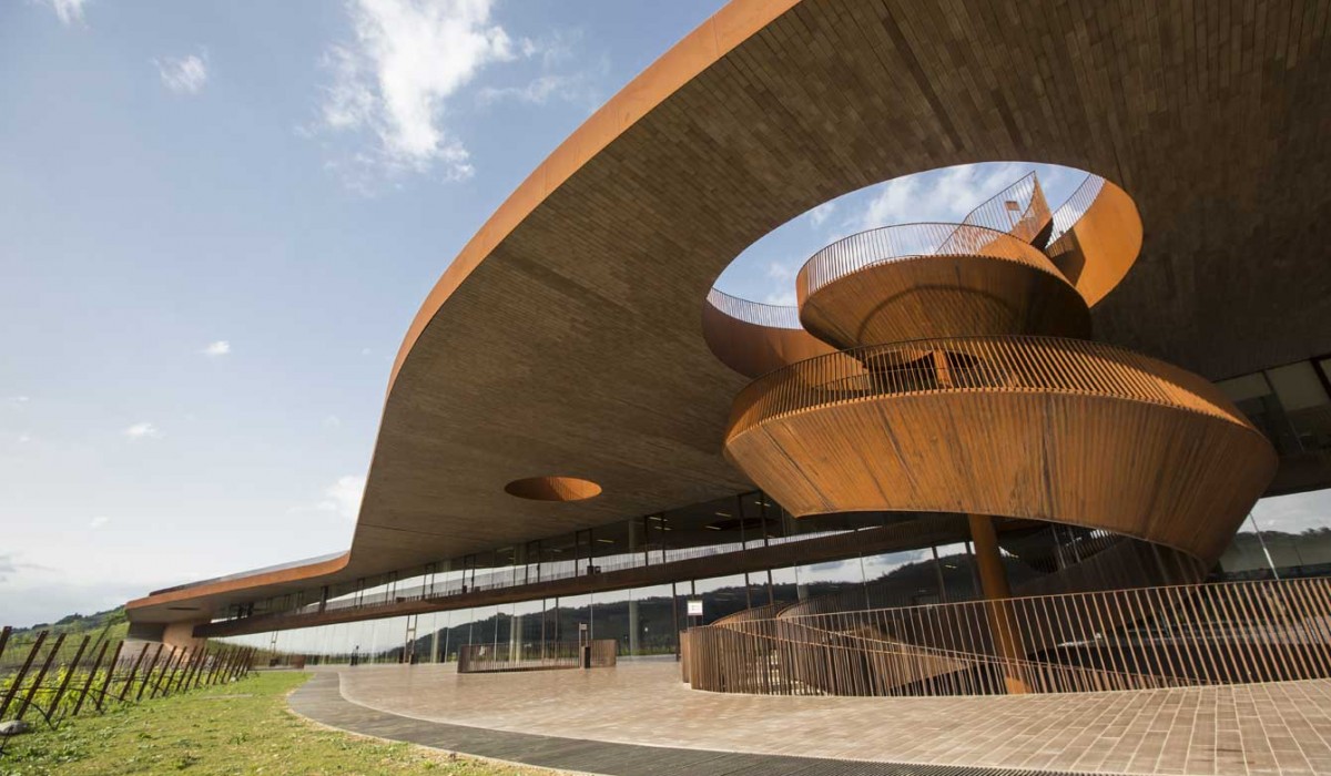 Vineyard and architecture