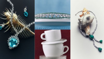 Gems on the Rise, the New Issue of VO+