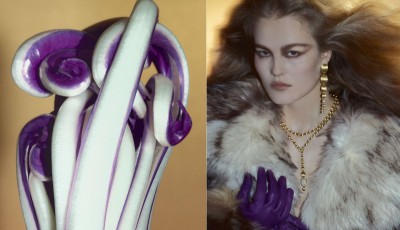 The Cover Story of Collective Resonance, the January 2026 Issue of VO+