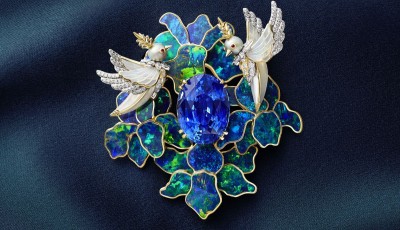 Seen at Paris: Trionfo di Colore