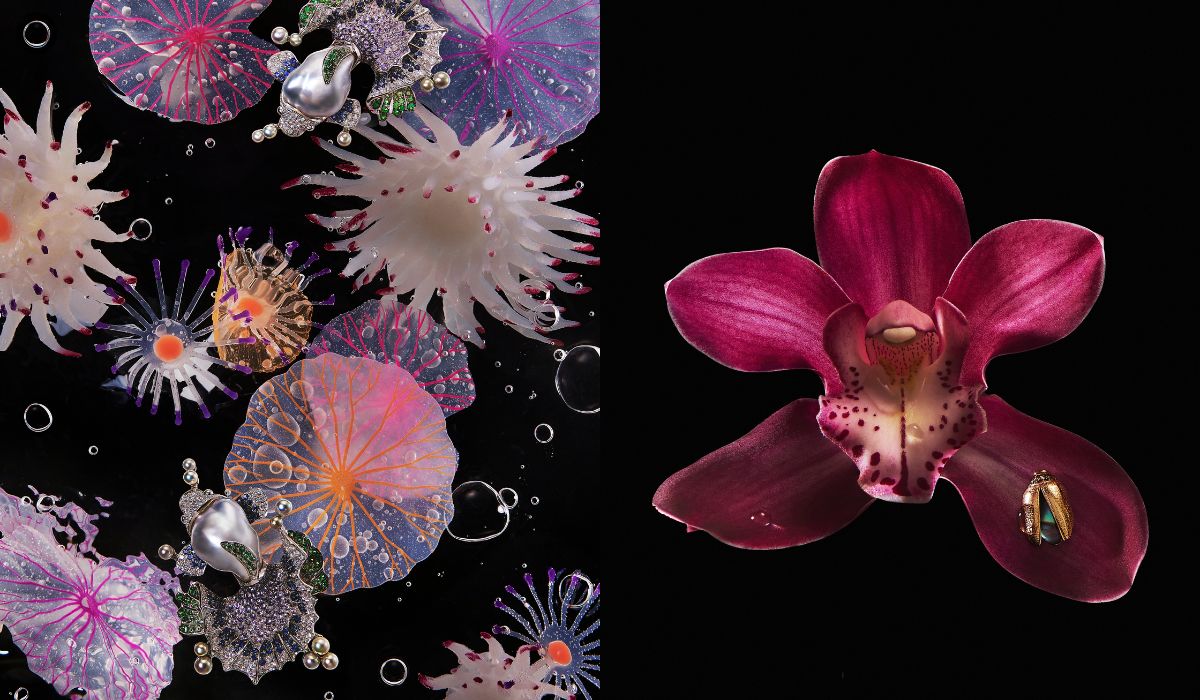 Botanical Exploration: lo Still Life di Collective Resonance, il Numero di VO+ Gennaio 2026