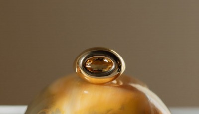 Jupiter:il "Primo Figlio" di Letizia Bettoni 